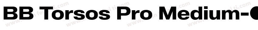 BB Torsos Pro Medium字体转换